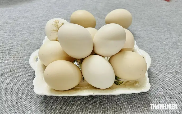 Cần có chế độ ăn hợp lý để bảo vệ sức khỏe tim mạch, chứ không chỉ là số quả trứng ăn mỗi ngày