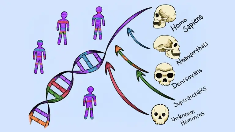 Phương pháp mới khám phá DNA của các "dòng dõi ma" trong bộ gene người hiện đại - Ảnh: WORDPRESS.COM