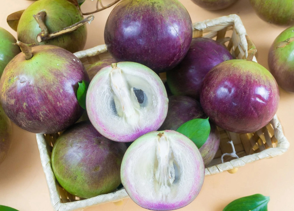 Việt Nam là quốc gia duy nhất cuất khẩu vú sữa trên thế giới (Ảnh minh họa)