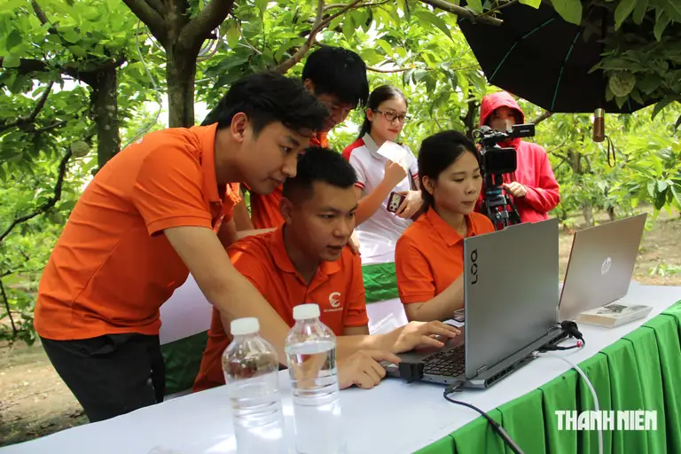 Bộ phận kỹ thuật tập trung hỗ trợ các nhà vườn xử lý hàng trăm đơn hàng trực tuyến