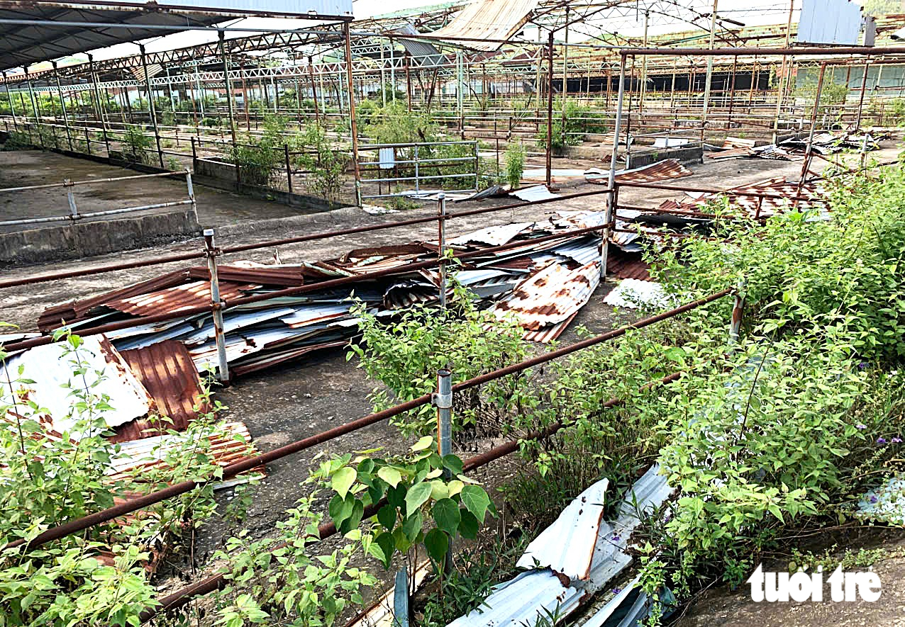 Nhiều chuồng trại tại dự án bị bay mái che, tôn nằm ngổn ngang - Ảnh: LÊ MINH