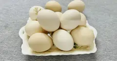Nên ăn trứng như thế nào để bảo vệ sức khỏe tim mạch?