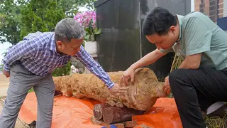 Phát hiện súng thần công dài gần 3 m tại thành Điện Hải