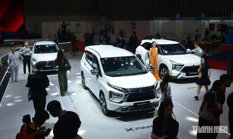 Tại Việt Nam, hiện tại có 6 dòng xe phổ biến thường được người mua cân nhắc lựa chọn, gồm: xe đô thị cỡ nhỏ, sedan, hatchback, SUV/Crossover, MPV và xe bán tải