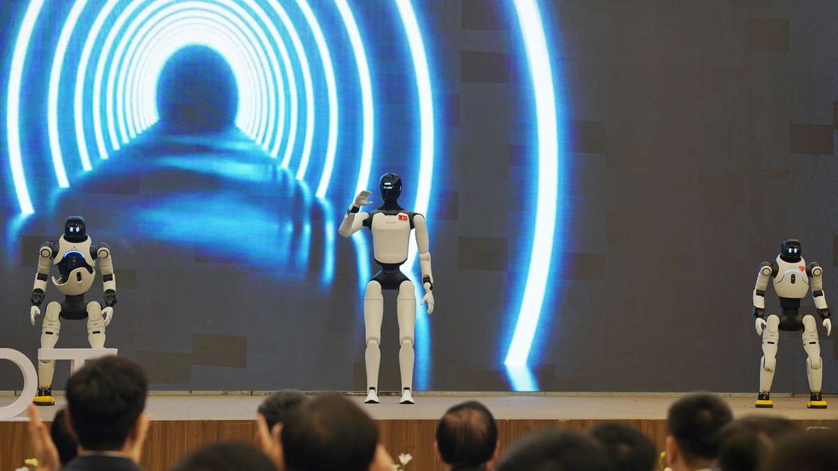 'Robot hình người ở Việt Nam chủ yếu dùng để trình diễn'