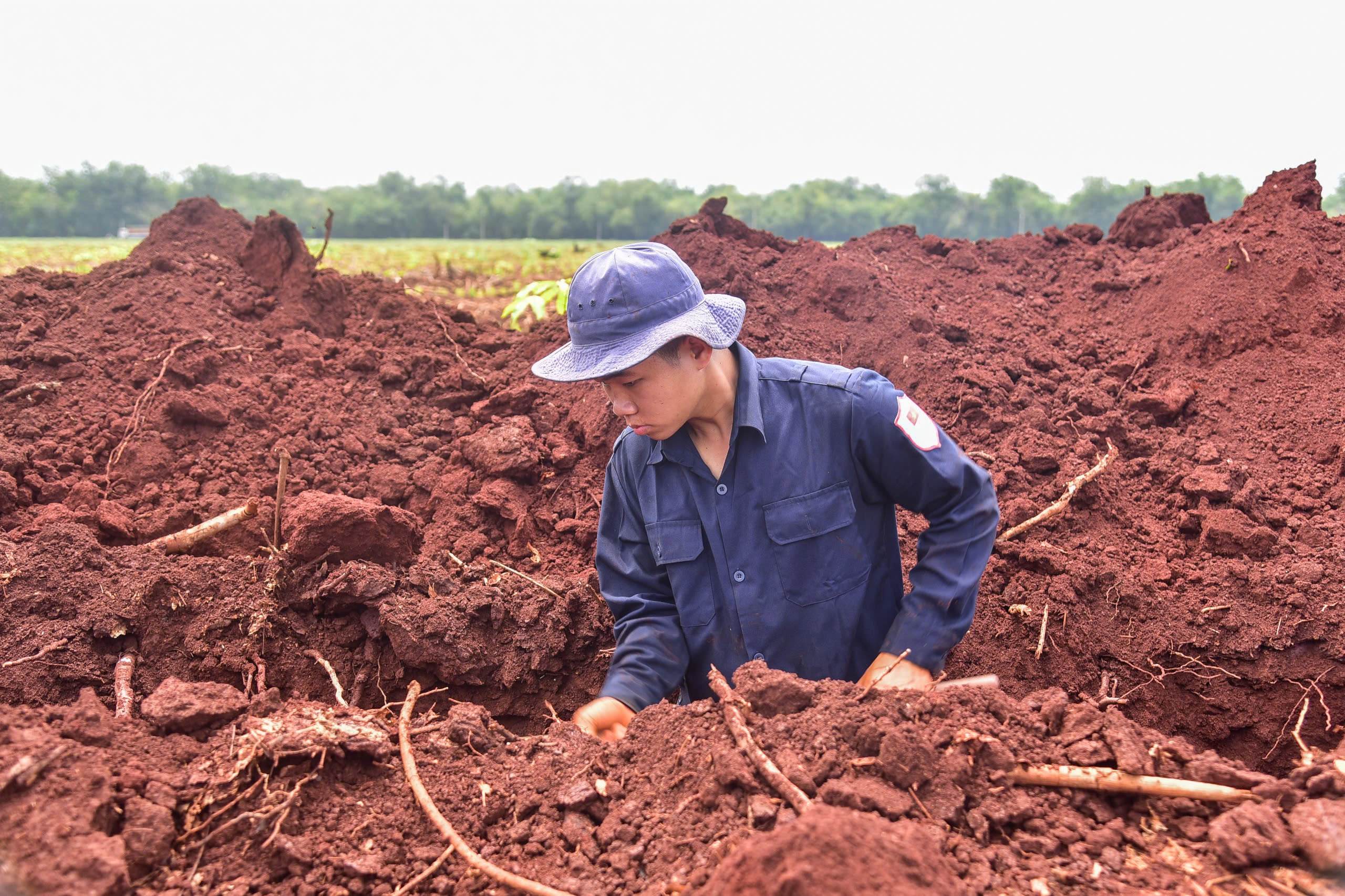 Đồng Nai: Tìm thấy mộ tập thể cùng nhiều di vật súng, bút, bình tông - Ảnh 1.