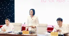 Lao động Việt vi phạm pháp luật tại Nhật Bản gia tăng