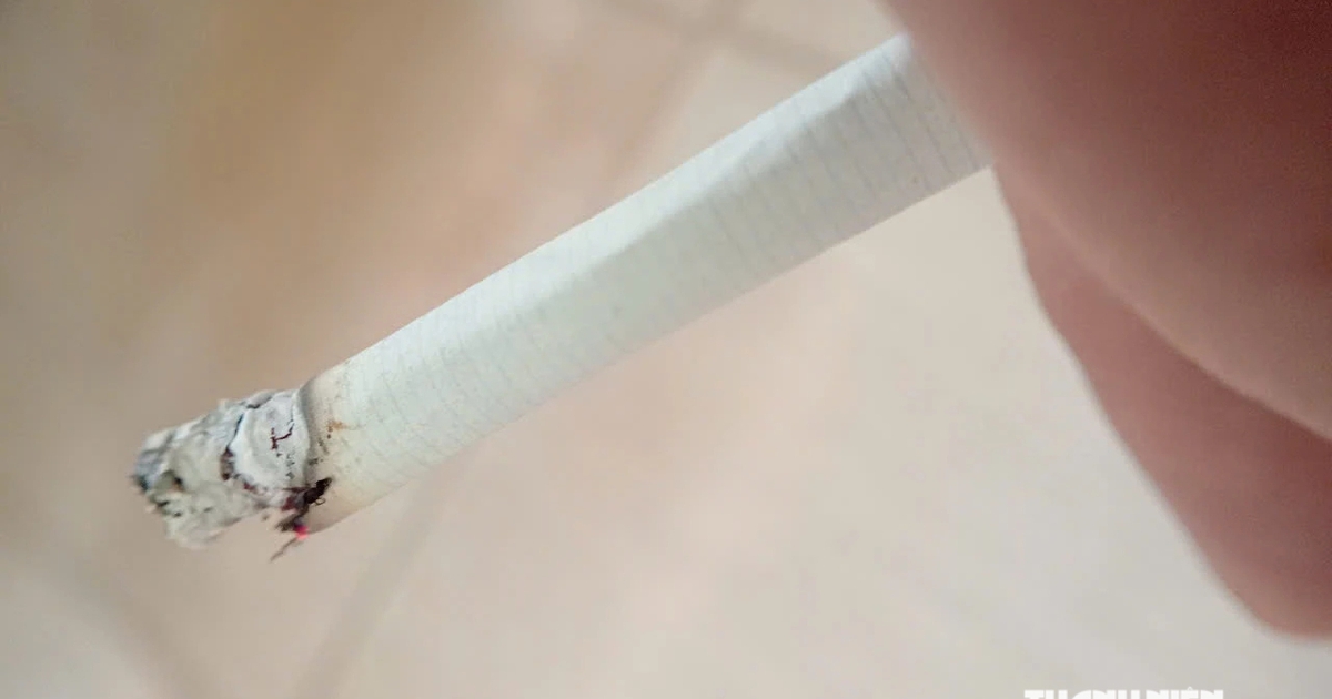 Thuốc lá dễ nghiện, khó cai hơn rượu và cần sa