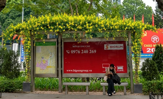 Phối cảnh trồng cây leo tại nhà chờ xe buýt.