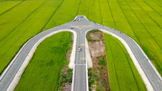 Đường hình vòng cung xuyên đồng lúa ở An Giang