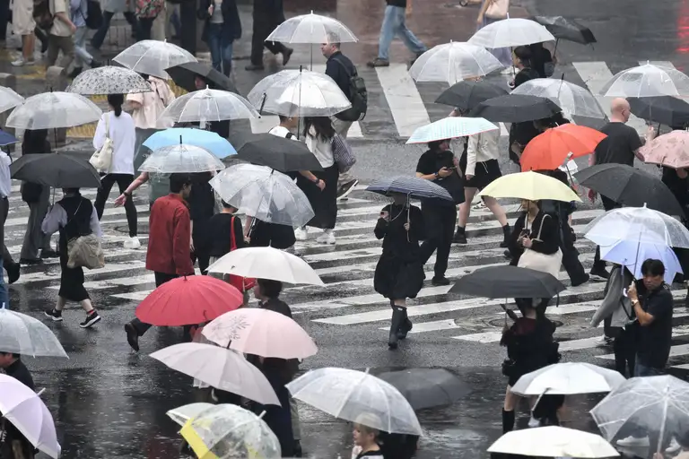 Lượng mưa kỷ lục đã khiến giá rau tăng vọt và gây khó khăn cho ngành du lịch Tokyo - Ảnh: AFP
