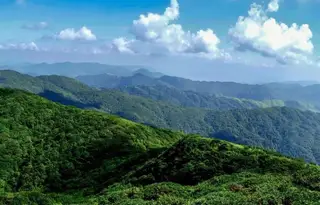 Khu bảo tồn thiên nhiên Lôi Công Sơn thuộc tỉnh Quý Châu có hệ sinh thái đa dạng, khí hậu mưa nhiều, là nơi trú ngụ của nhiều loài động vật quý hiếm cấp quốc gia.