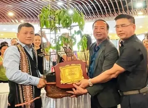 Củ sâm Ngọc Linh hơn 35 năm tuổi được đấu giá 725 triệu đồng