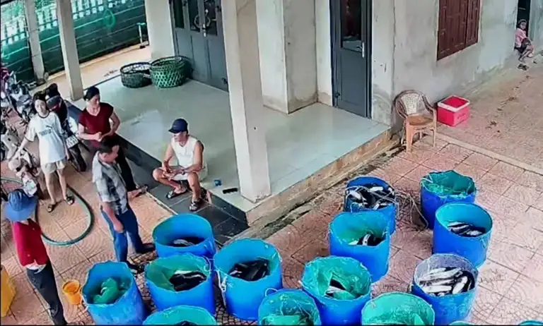 Sau khi hồ cá lóc bị sét đánh trúng, nhiều người dân địa phương đã đến mua ủng hộ giúp chủ hồ ở Quảng Trị giảm bớt thiệt hại - Ảnh: VÂN ANH
