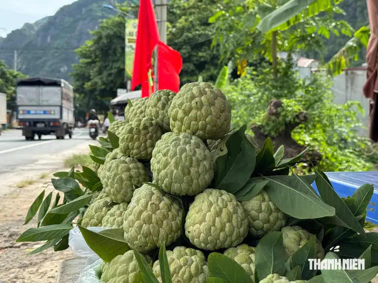 Lão nông lần đầu livestream chốt hàng trăm đơn, bán 3 tấn na ngay tại vườn - Ảnh 5.