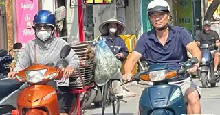 Áp thấp nhiệt đới suy yếu, nắng nóng trở lại miền Bắc, miền Trung