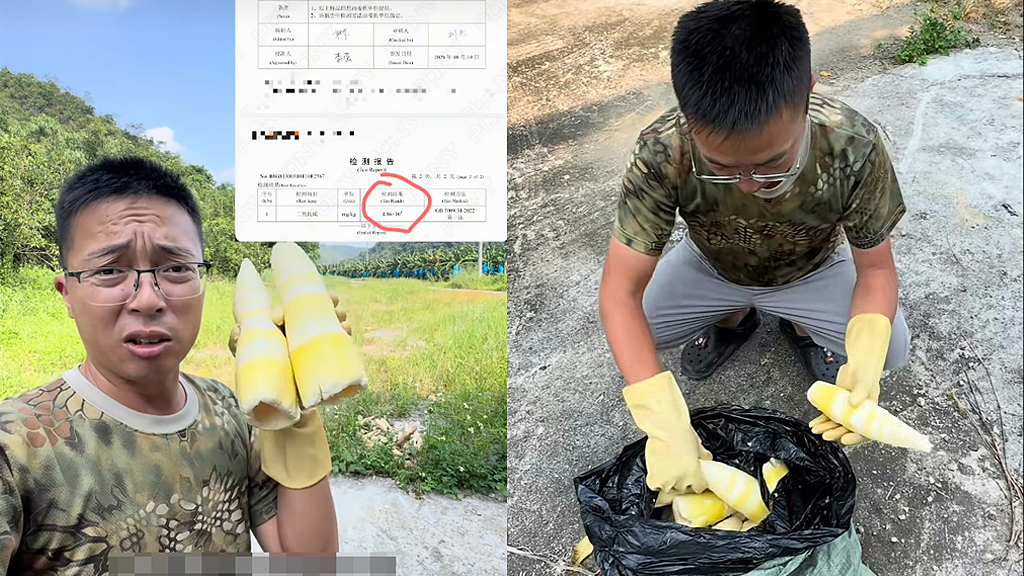 Trung Quốc phát hiện măng tươi ngậm hóa chất gấp 100 lần ngưỡng cho phép