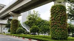 Hà Nội thí điểm phủ xanh trụ cầu, hầm chui