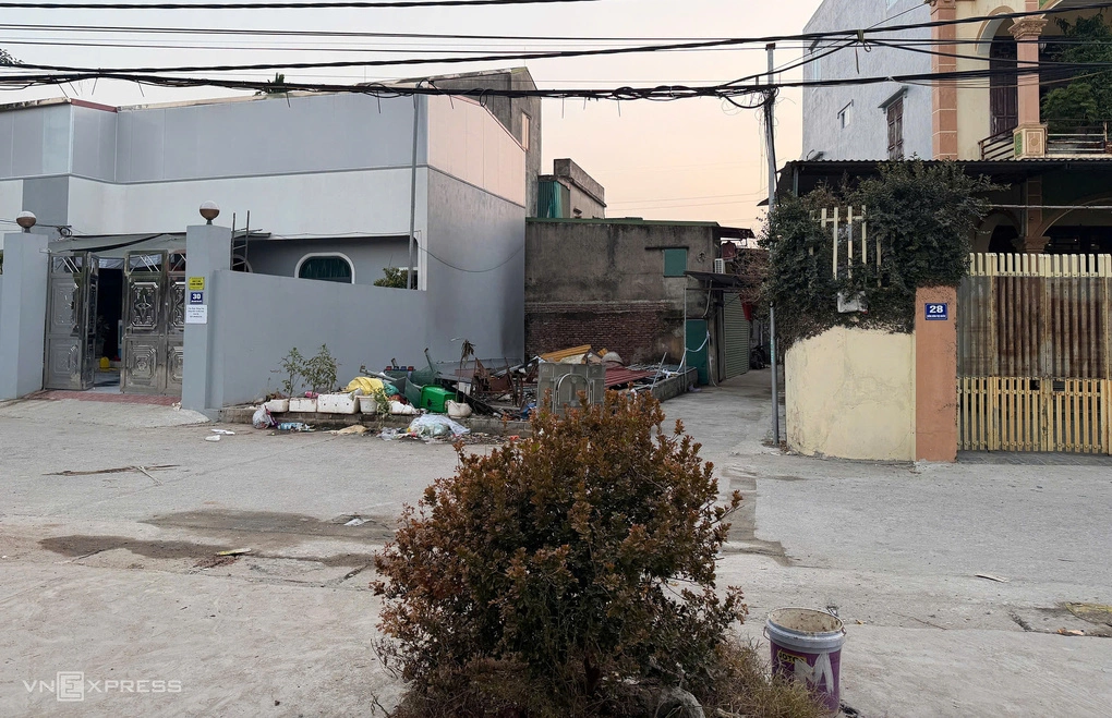 Bị nhiễm khí clo sau sự cố rò rỉ, cây cảnh chuyển màu nâu sậm. Ảnh: Huy Mạnh