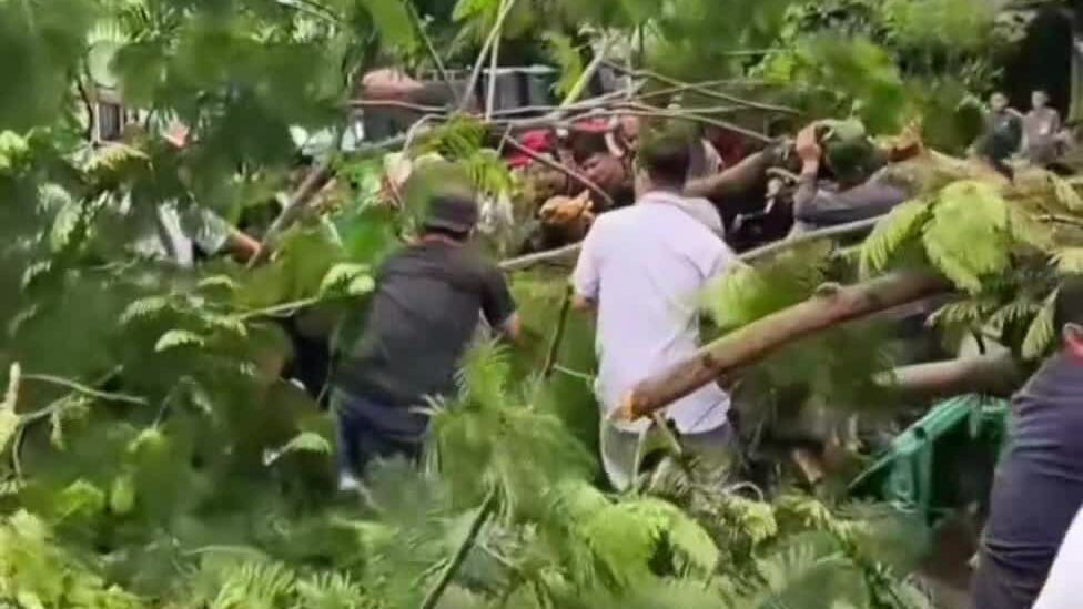Người dân hợp sức nâng cây ngã, kéo nạn nhân ra ngoài. Video: Thành Đạt
