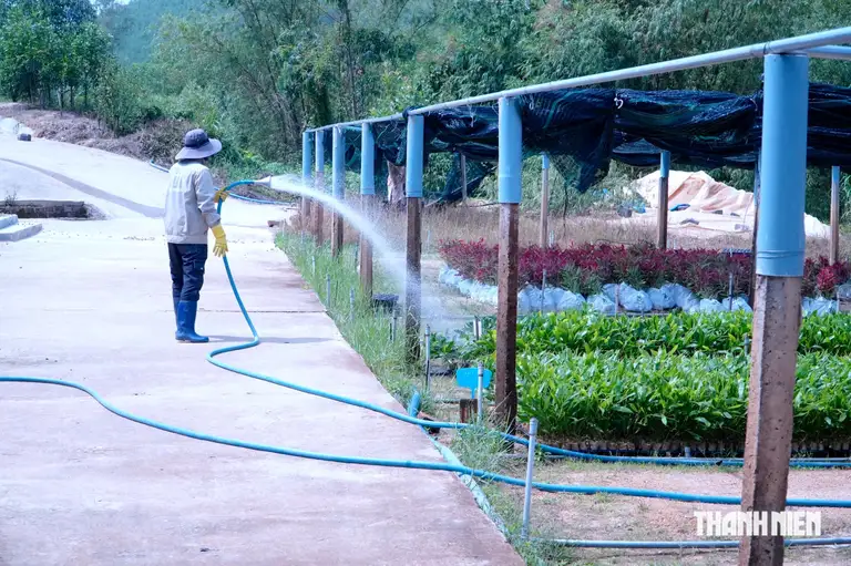 Những năm đầu khởi nghiệp, anh Biên phải vay ngân hàng, mượn thêm người thân để có vốn đầu tư vườn ươm