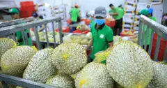 Làm gì để xuất khẩu nông, lâm, thủy sản đạt 100 tỉ USD?