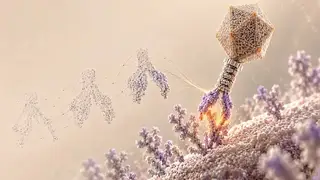 Startup Mỹ dùng virus do AI thiết kế điều trị bệnh