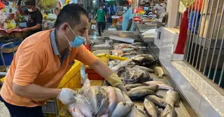 Các nước xử lý thế nào với thực phẩm và con giống nhập lậu?