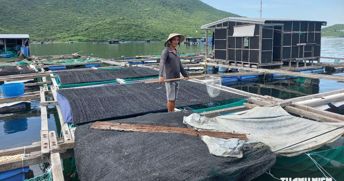 Từ ký ức Damrey đến mùa bão mới