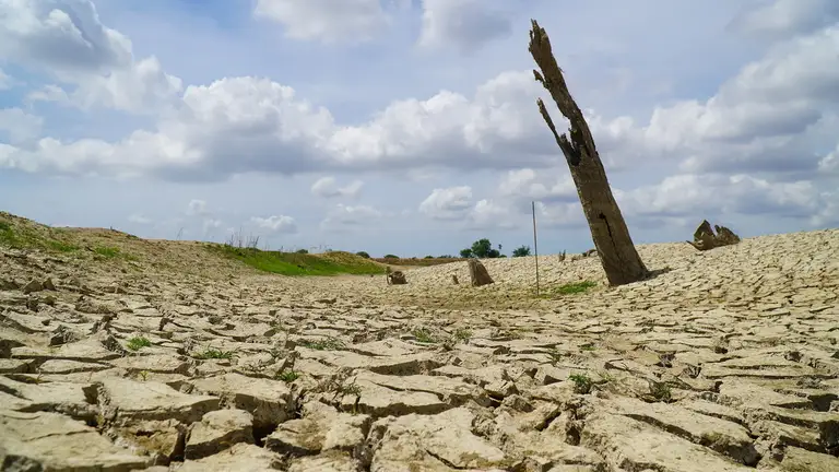 Hơn 300.000 ha cây trồng nguy cơ thiếu nước do El Nino