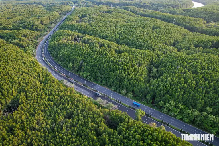Tuyến metro Bến Thành - Cần Giờ đi qua Rừng Sác, dài khoảng 53,8 km