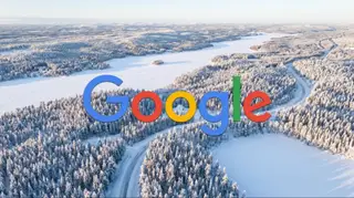 Google bị điều tra hình sự ở Phần Lan vì phá rừng làm trung tâm dữ liệu AI