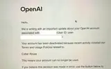 Chuyên gia bảo mật bị OpenAI khóa tài khoản "oan" chỉ vì làm việc này