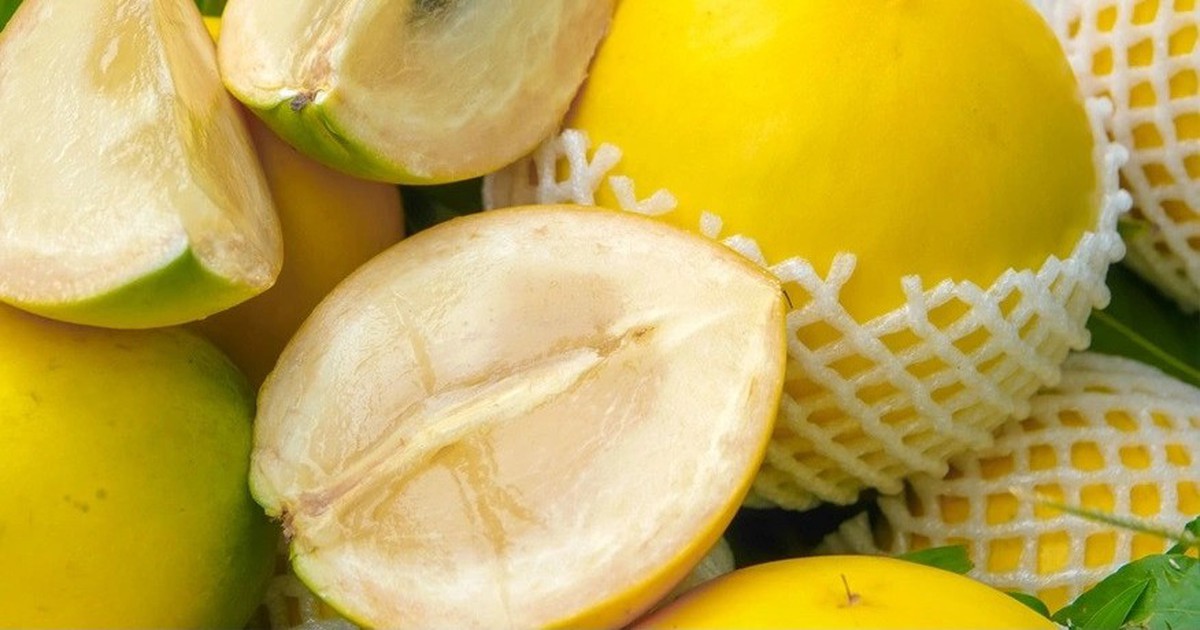 1 loại quả ngọt tốt ngang nhân sâm, chỉ duy nhất Việt Nam xuất khẩu trên thế giới: Hạ đường huyết, bổ máu, tốt cho xương khớp