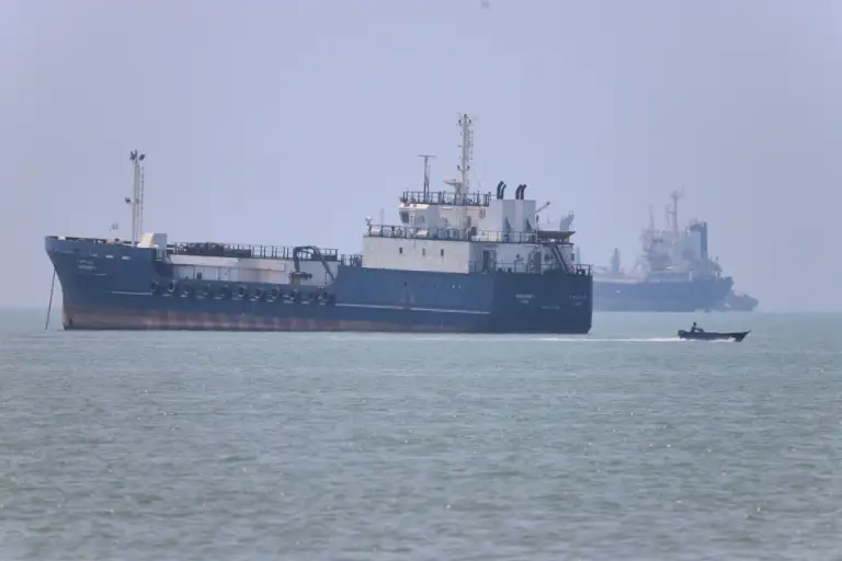 Tàu neo đậu tại eo biển Hormuz, ngoài khơi Bandar Abbas, Iran, ngày 17/6. Ảnh: AP