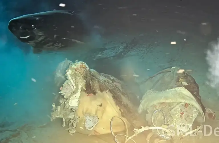 Nghiên cứu được đăng trên tạp chí khoa học Ocean-Land-Atmosphere Research - Ảnh: Ocean-Land-Atmosphere Research