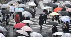 Người dân Tokyo mệt mỏi vì mưa liên tiếp 35 ngày
