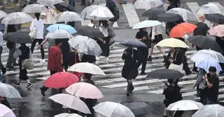 Người dân Tokyo mệt mỏi vì mưa liên tiếp 35 ngày