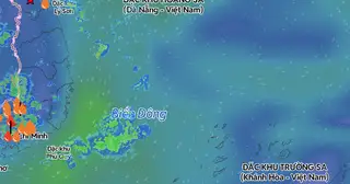 Đề nghị 11 tỉnh ứng phó gió mạnh trên biển ảnh hưởng từ siêu bão Champi