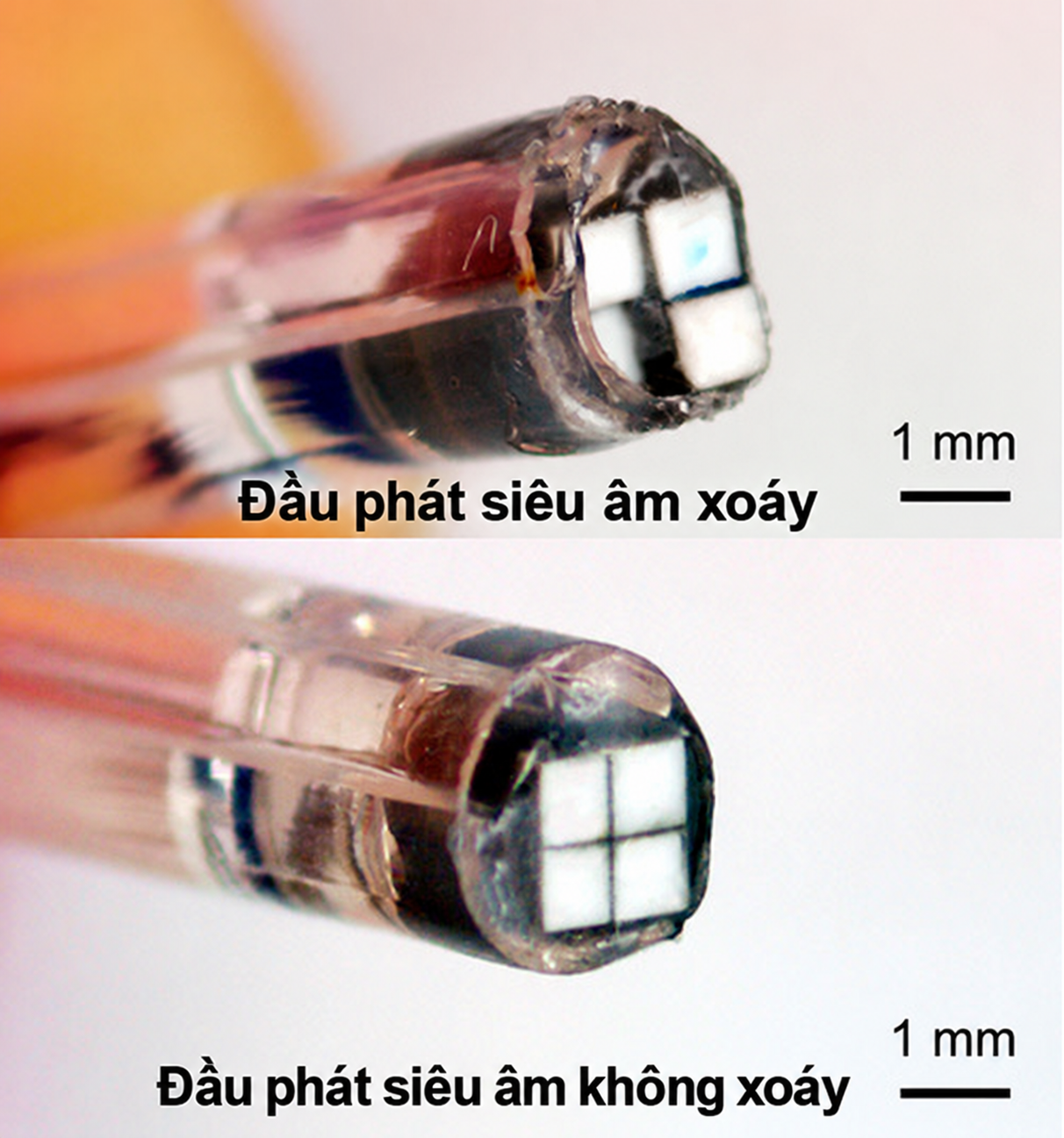 Đầu phát siêu âm xoáy (trên) và đầu phát không tạo sóng xoáy dùng để đối chứng (dưới), gắn trên ống thông trong nghiên cứu xử lý cục máu đông - Ảnh: ĐẠI HỌC BANG NORTH CAROLINA