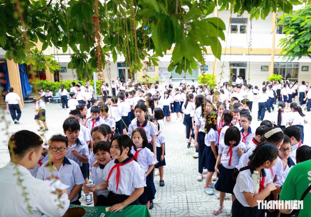 Học sinh trong một ngày hội, tất cả các em đều tham gia hoạt động bình đẳng như nhau