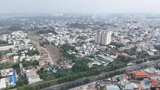 Di dời gần 200 cây xanh làm nút giao ba tầng Vành đai 2