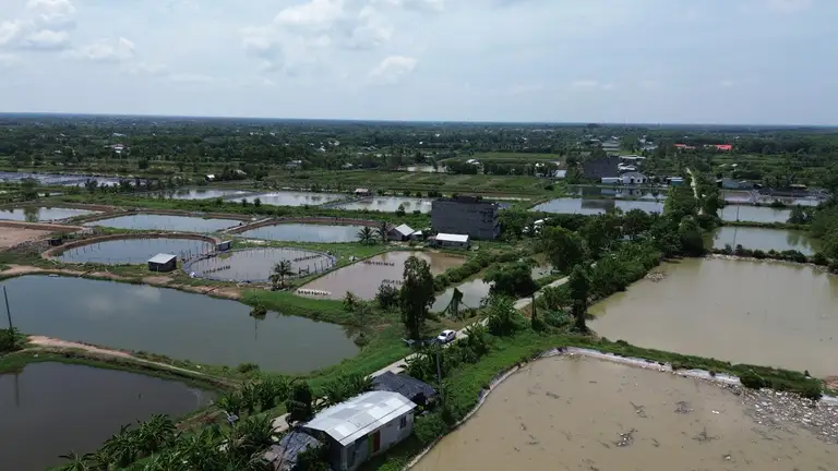 Vĩnh Long đẩy mạnh nghiên cứu, ứng dụng và phát triển công nghệ theo chương trình, kế hoạch định hướng phát triển chuỗi sản phẩm gắn với sản xuất nông, lâm, thủy sản