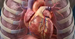 4 xét nghiệm giúp phát hiện sớm bệnh tim trước khi có triệu chứng