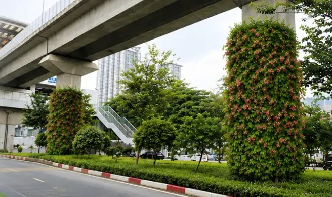 Phối cảnh trồng cây leo quanh trụ cầu đường sắt tuyến Cát Linh - Hà Đông, tại khu vực đường Nguyễn Trãi (trước tòa nhà Royal city).
