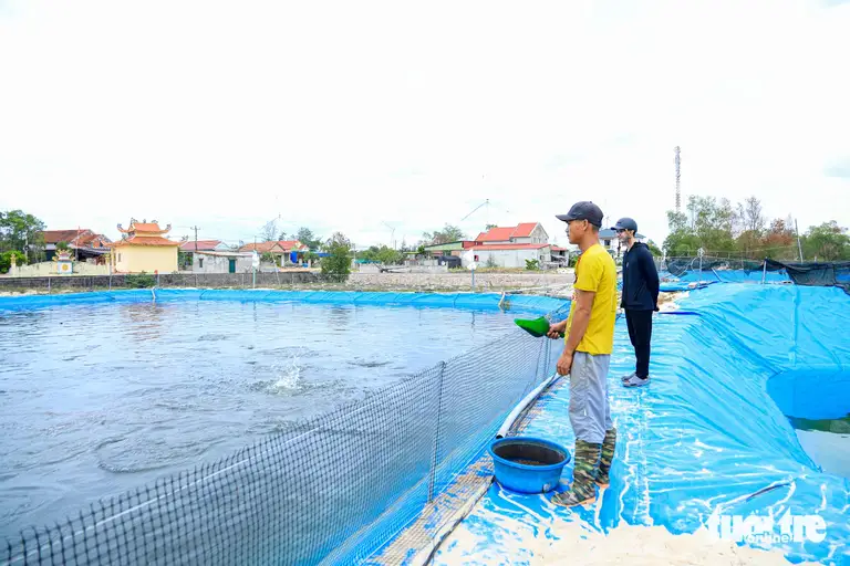 Nhờ nuôi cá lóc trên cát, gia đình bà Ngô Thị Khuyên (thôn Lệ Bình, xã Cam Hồng) có thu nhập ổn định - Ảnh: THANH NGUYÊN