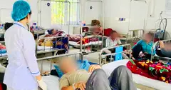 Đề nghị phạt chủ cơ sở bánh mì tại Gia Lai 100 triệu đồng
