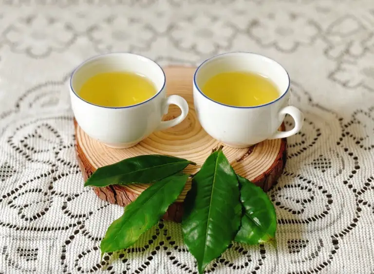 Nhiều người có thói quen dùng trà thay nước lọc hàng ngày vì tin vào đặc tính chống oxy hóa của loại thức uống này. Ảnh minh họa: Bảo Bảo