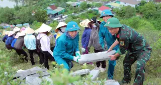 Hơn 1.000 người chung sức tái tạo dòng chữ 'BÁC HỒ SỐNG MÃI' trên núi Nhón