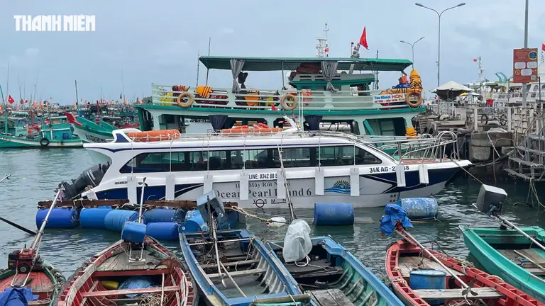 Tỉnh An Giang yêu cầu cơ quan chức năng phải siết chặt công tác quản lý các phương tiện chở khách du lịch